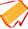 Soccer Ball Training Ladder