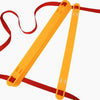 Soccer Ball Training Ladder